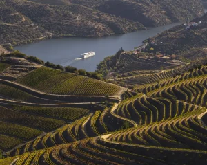 Vista aérea de um destino turístico sustentável em Portugal com alojamentos integrados na natureza.